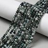 Natural Moss Agate Beads Strands X-G-C228-A01-2x3mm-1