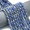 Natural Lapis Lazuli Beads Strands G-P575-A46-8x5mm-01-1