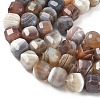 Natural Botswana Agate Beads Strands G-C267-A07-4