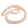 Electroplated Opaque Glass Beads Strands EGLA-L015-FR-B25-01-2
