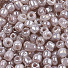 6/0 Glass Seed Beads SEED-A011-4mm-148-01-3