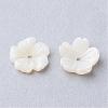 Natural Sea Shell Beads SSHEL-S250-14-1