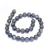 Natural Labradorite Beads Strands G-F602-04-8mm-01-2