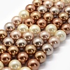Electroplate Shell Pearl Beads Strands X-BSHE-G018-04-10mm-1