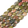 Natural Unakite Beads Strands G-H349-A01-04-2