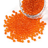 8/0 Glass Seed Beads X-SEED-A004-3mm-9B-1