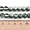 Baking Paint Transparent Glass Beads Strands DGLA-N011-8mm-07-4