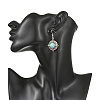 Bohemian Alloy & Enamel & Acrylic & Rhinestone Dangle Earrings for Women EJEW-JE07343-2