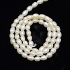 Grade AA Natural Cultured Freshwater Pearl Beads Strands PEAR-L001-C-11-3