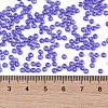 TOHO Round Seed Beads SEED-XTR08-0934-4