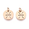 304 Stainless Steel Charms STAS-Q201-T445-12R-1