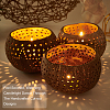 Hollow out Coconut Shell Candle Cup DIY-WH0260-82-6