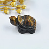 Natural Tiger Eye Display Decorations PW23021810848-1