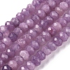 Dyed Natural Malaysia Jade Rondelle Beads Strands G-E316-2x4mm-39-2