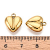 304 Stainless Steel Charms STAS-T065-80G-3