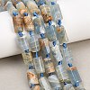 Natural Blue Calcite Beads Strands G-A314-A06-01-1