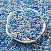 Opaque Baking Paint Glass Seed Beads SEED-K009-01A-29-2