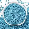 8/0 Baking Paint Glass Seed Beads SEED-M012-02A-46-2