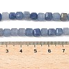 Natural Blue Aventurine Beads Strands G-F797-A24-01-5