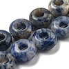 Natural Blue Spot Jasper Beads Strands G-P536-A11-01-1