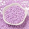 Baking Painted Glass Seed Beads SEED-C004-01K-2