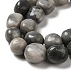 Natural Zebra Jasper Beads Strands G-A247-02-4