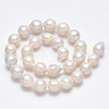 Nuggets Natural Baroque Pearl Keshi Pearl Beads Strands PEAR-Q004-32-2