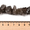 Natural Smoky Quartz Beads Strands G-I283-F13-5