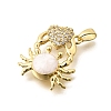 Brass Clear Cubic Zirconia Pendants KK-B187-01G-05B-2