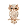 Alloy Rhinestone Brooches PW-WG81594-01-1