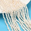 Natural Cultured Freshwater Pearl Beads Strands PEAR-L034-06A-1