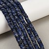 Natural Sodalite Beads Strands G-Q159-B32-01-1