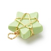 Opaque Resin Pendants PALLOY-JF01849-01-5