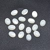 Shell Cabochons SSHEL-P015-59B-1