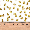 Baking Paint Transparent Glass Seed Beads X-SEED-N006-05C-4