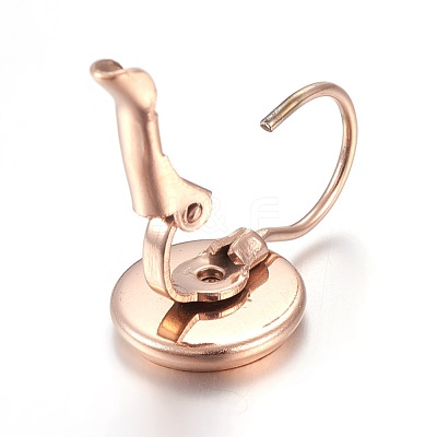 Ion Plating(IP) 304 Stainless Steel Leverback Earring Settings STAS-L211-08A-RG-1