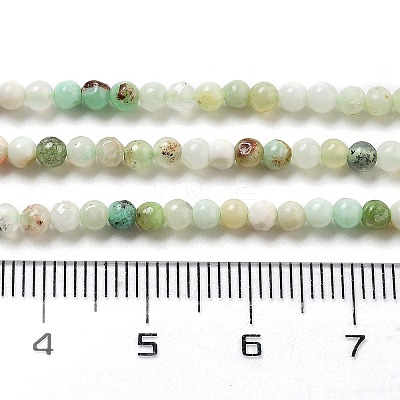 Natural Serpentine Beads Strands G-G161-D24-01-1