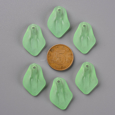 Transparent Frosted Acrylic Pendants MACR-S371-03A-733-1