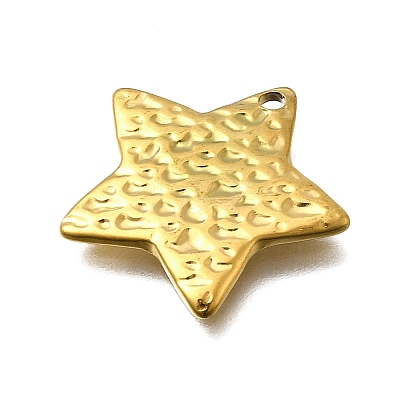 304 Stainless Steel Pendants STAS-Z163-01G-01-1