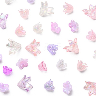 Mixed Styles Acrylic Bead Caps OACR-FS0002-50A-1