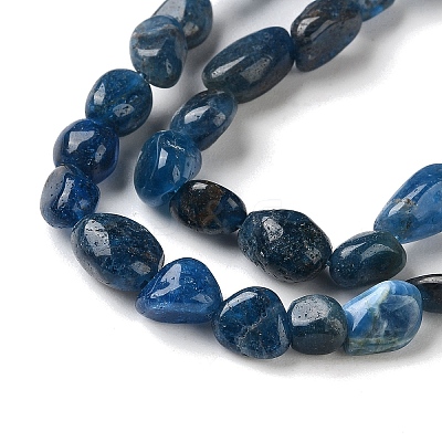 Natural Apatite Beads Strands G-L638-A02-01-1