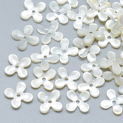 Natural White Shell Beads SSHEL-S260-056B-01-1