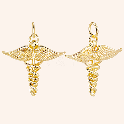 12Pcs Brass Pendants KK-BBC0019-76-1