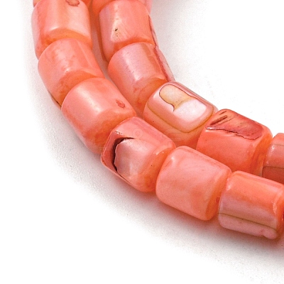 Natural Freshwater Shell Beads Strands SHEL-F008-04F-1