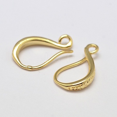 Brass Earring Hooks KK-L137-02G-NR-1