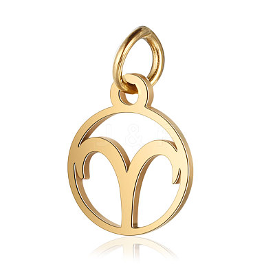 201 Stainless Steel Charms STAS-T036-T513-1-1