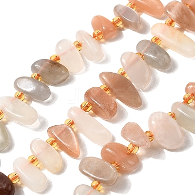 Natural Moonstone Beads Strands G-Z091-A14-1