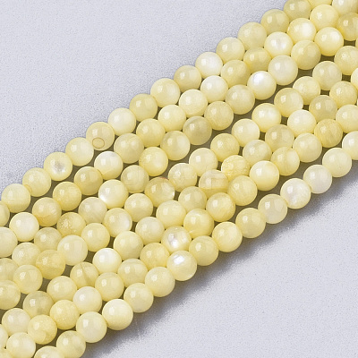 Natural Freshwater Shell Beads Strands BSHE-T009-01E-1