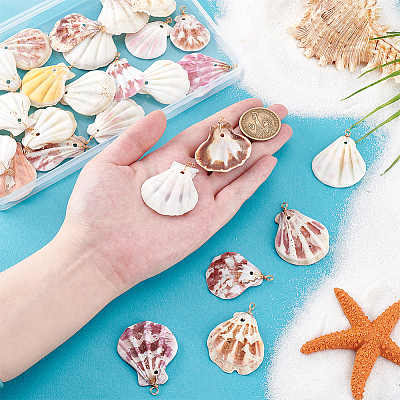30Pcs Natural Shell Pendants PALLOY-PH01840-1