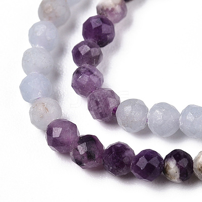 Natural Mixed Gemstone Beads Strands G-D080-A01-02-35-1